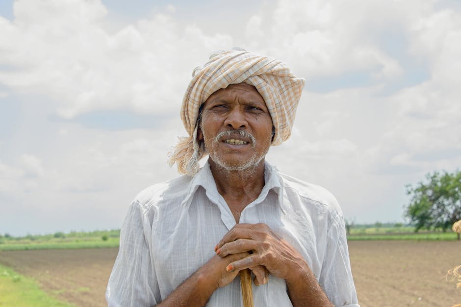 Timor’s Traditional Farming Practices and Heritage