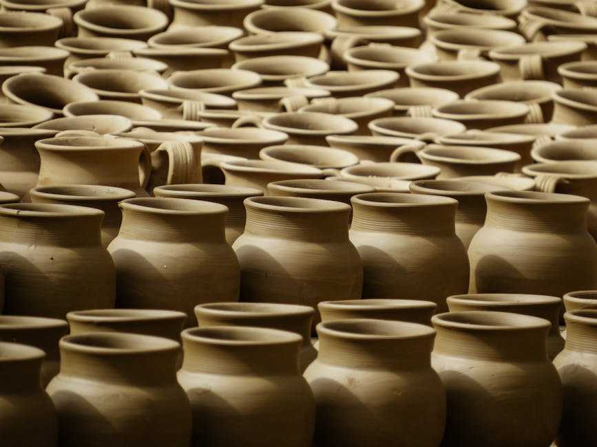 How Nature Shapes Timor's Cultural Practices