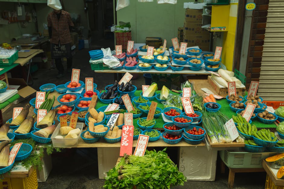 From the Streets of Dili: Local Insights